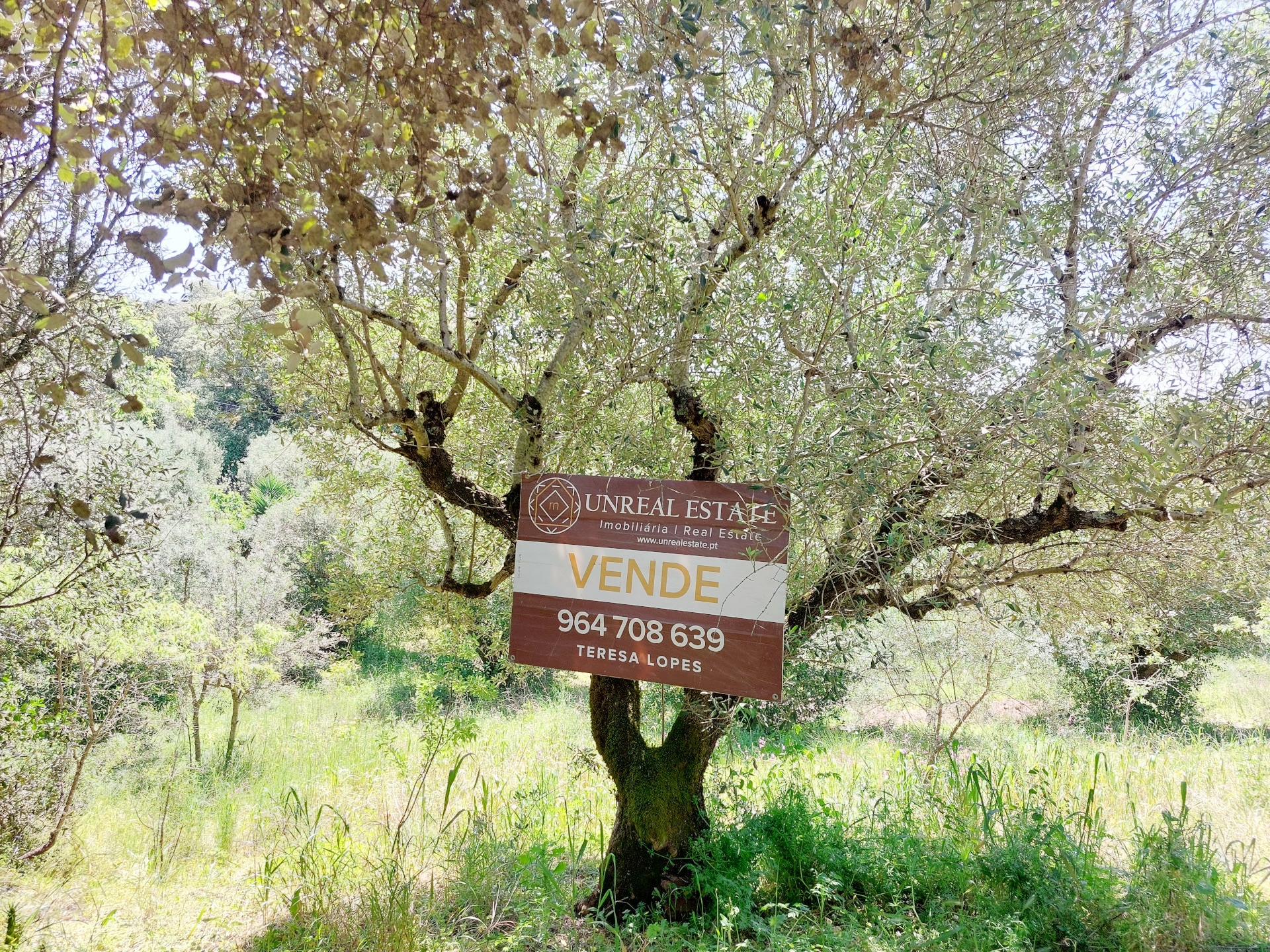 Terreno R�stico  Para Venda em Torres Novas